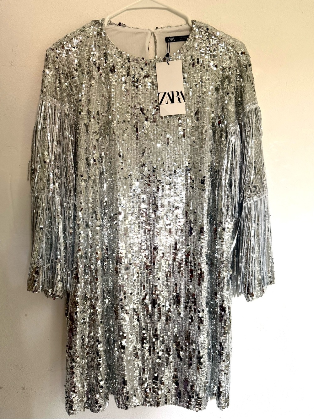 Zara Silver Sequin Fringe Top